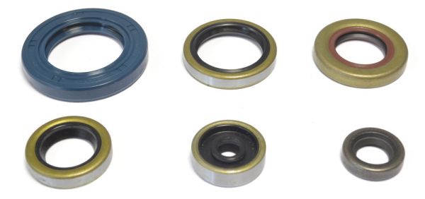 PARAOLI MOTOCROSS MARKETING KTM SX 65 (09-23) MOTORE