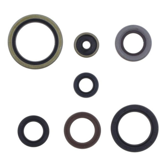 PARAOLI MOTOCROSS MARKETING GAS GAS EC 300 (21-26) MOTORE