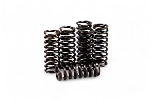 MOLLE FRIZIONE RINFORZATE MOTOCROSS MARKETING HONDA CR 125 (00-03)