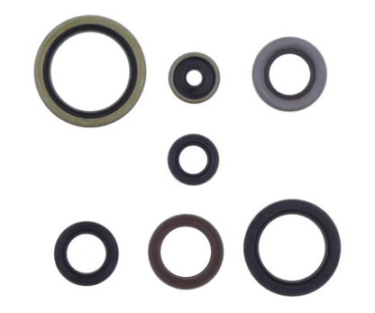 SERIE PARAOLIO MOTORE CENTAURO GASGAS 250 MC (22-25)