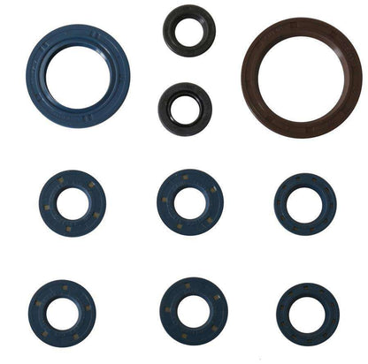 SERIE PARAOLIO MOTORE CENTAURO KTM 250 EXC-F (14-16)