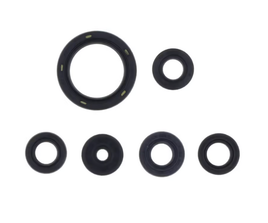 Kit paraoli motore Centauro Ktm SX-F 450 23-25