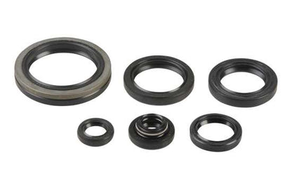 SERIE PARAOLIO MOTORE CENTAURO SUZUKI RM 250 (96-02)