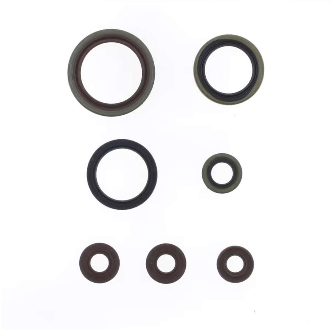 Kit paraoli motore Centauro Sherco 300 SE-R 14-20