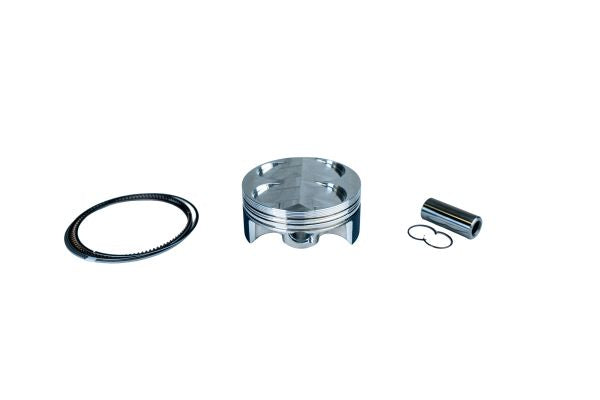 PISTONE WOSSNER TM EN 250 F (06-10) 76,97