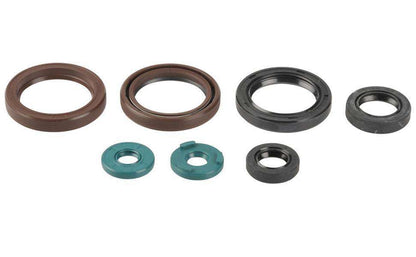 SERIE PARAOLIO MOTORE CENTAURO KTM 400 EXC-F (09-11)