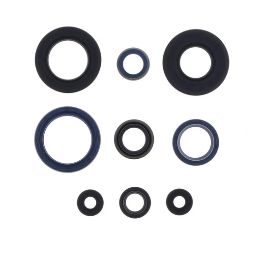 Kit paraoli motore Centauro Husqvarna WR 250 99-13