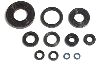 SERIE PARAOLIO MOTORE CENTAURO FANTIC 250 XXF (22-23)