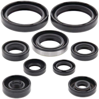 SERIE PARAOLIO MOTORE NRTEAM KAWASAKI KX 250 F (04-05)