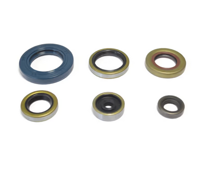 SERIE PARAOLIO MOTORE CENTAURO KTM 65 SX (09-23)