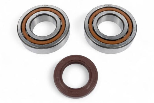 KIT CUSCINETTI ALBERO MOTORE E PARAOLI BWX GAS GAS EC 250 2006 - 2013