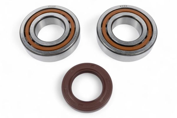 KIT CUSCINETTI ALBERO MOTORE E PARAOLI BWX KTM SMR 450 2004 - 2007