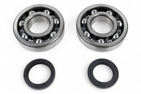 KIT CUSCINETTI ALBERO MOTORE E PARAOLI BWX SUZUKI RM 250 2005 - 2012