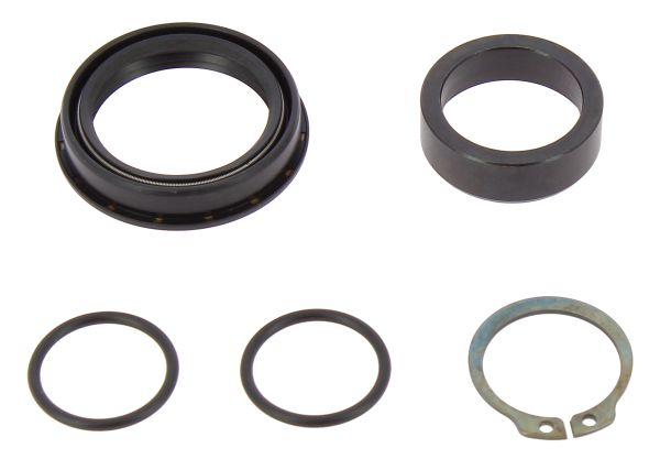 TENUTA ALBERO SECONDARIO SUZUKI RM-Z 450 (05-26) BEARINGWORX