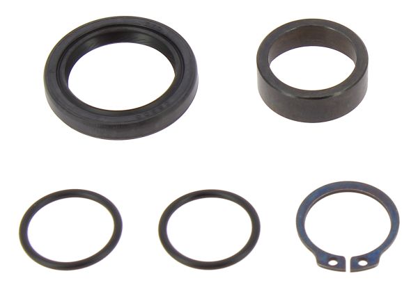 TENUTA ALBERO SECONDARIO SUZUKI RM 250 (89-02) BEARINGWORX