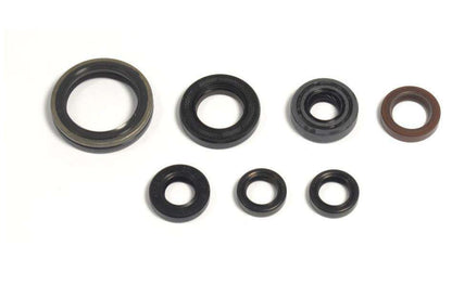 SERIE PARAOLIO MOTORE CENTAURO GASGAS 250 EC-F (13-15)